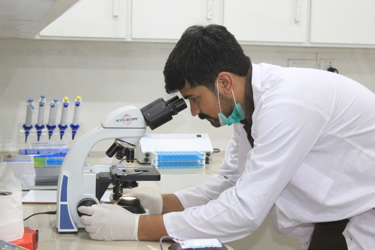 KMF Blood Bank